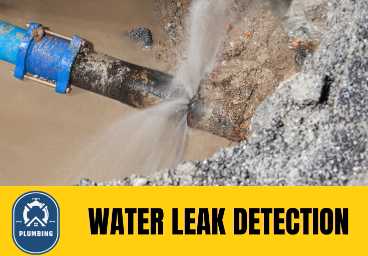 leak detection York